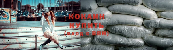 винт Абаза