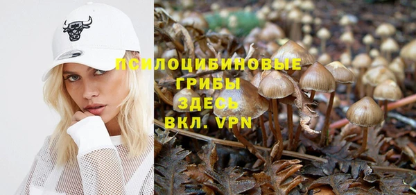 винт Абаза
