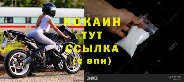 винт Абаза